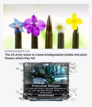Photo - Biodegradable Bullets Meme #2190175