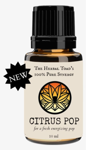New Citrus Pop #2190572