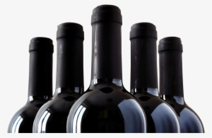 We Do - - Bottles Of Fine Italian Red Wine Mug #2192033