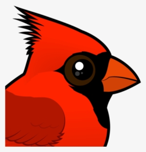 About The Northern Cardinal - Northern Cardinal Clipart #2192256