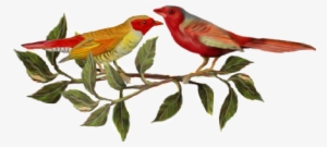 Birds And Butterflies Two Red Birds Artwork - Menu Cover #2192318