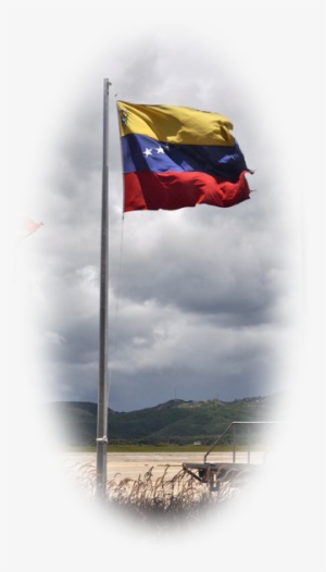 Venezuela, Otra Vez - Flag #2192407