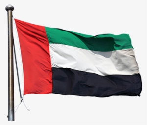 Uae Flag - Dubai Flag Transparent #2193333