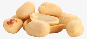 Peanut Peeled - Peanut #2194191 Peanut Peeled - Peanut #2194191