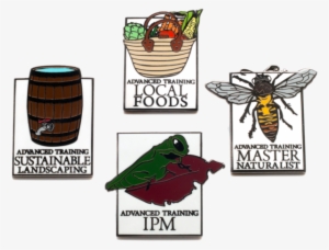 Master Gardener Pins - Illustration #2194851