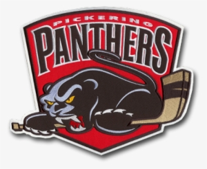 400 204 Sportspatch-panthers - Hockey #2197572