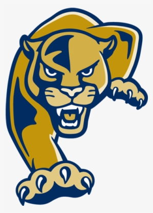 Florida Intl Golden Panthers - Florida International University Panther #2197600