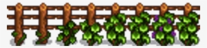 Grapes G - Grape Starter Stardew Valley #2198217
