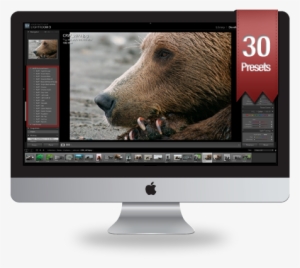 Lightroom Presets Running On Imac - Grizzly Bear #2198593