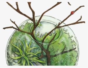 Terrarium - Illustration #2199017