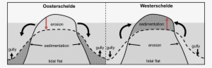 Reduction In Tidal Range And Tidal Velocity Has Led - Diagram #2199563