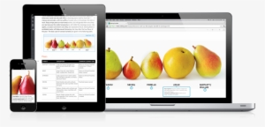 Inkling Hero Culinary #2199851