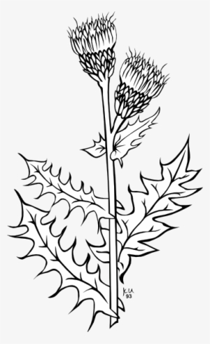 Original Png Clip Art File Weed Plant Svg Images Downloading #220001 Original Png Clip Art File Weed Plant Svg Images Downloading #220001