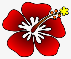 Com Plants Cut Flowers - Flower #220120