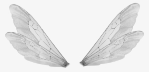 Wings Transparent Bee - Male Fairy Wings Png #220166
