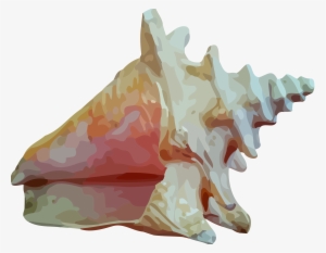 This Free Icons Png Design Of Sea Shell 12 #220669