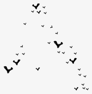 Share This Image - Portable Network Graphics #220670