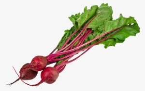 Notes & Recipes-cooking Well Doesn't Mean Cooking #221023