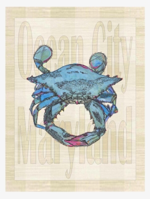 Illustration #221102