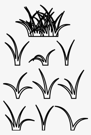 Grass Clipart Clipart - Patch Of Grass Drawing #221587