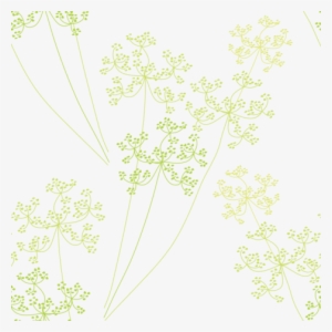 Queen Anne's Lace Fabric By Bartlett&craft On Spoonflower - Queen Anne's Lace Png #221693