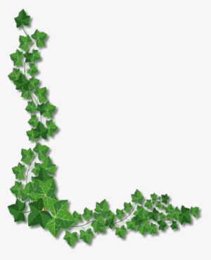 Content On This Page Requires A Newer Version Of Adobe #221900