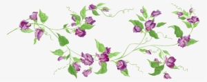 Lavender Clipart Transparent - Flower Vine Transparent Background #221904