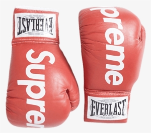 2008 Supreme X Everlast Boxing Gloves - Supreme #222637
