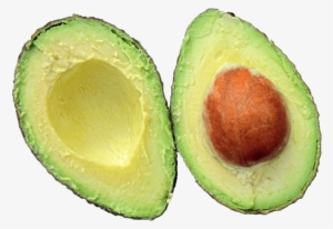 Free Png Avocado Png Images Transparent - Avocado Icons Background Transparent #222642