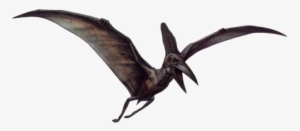 Dinosaur Png Image Transparent - Pteranodon #222680 Dinosaur Png Image Transparent - Pteranodon #222680