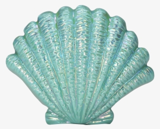 Free Png Blue Seashell Png Images Transparent - Transparent Background Seashell Png #223320