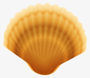 Shell Clipart Clam - Clam Shell Png #223522