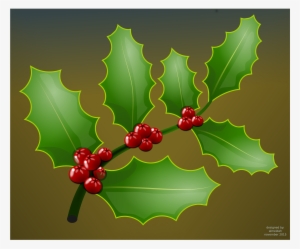 Big Image - Holly #223879