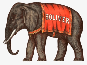 Circus Elephant Victorian - Circus #223953