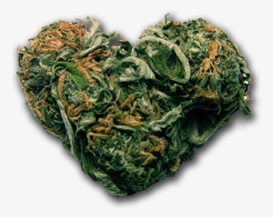 Transparent Blunt Tumblr #224411 Transparent Blunt Tumblr #224411