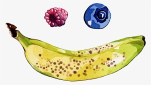 Smile - - Drawing #225186