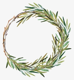 Hand Painted Weed Grass Ring Png Transparent - Watercolor Rosemary Wreath #225697 Hand Painted Weed Grass Ring Png Transparent - Watercolor Rosemary Wreath #225697
