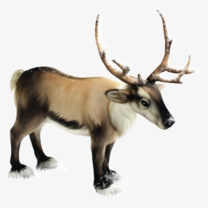 Santa Cairn Terrier Greeting Card #225982