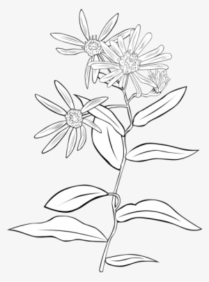 Original Png Clip Art File Plant Flowers Shrub Svg #226002