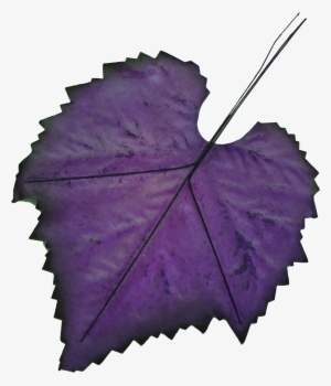 Hand-painted Leaf Png Transparent - Purple Leaf Clipart #226640