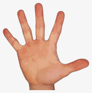 Hand With Five Fingers Png - Fingers Png #226725