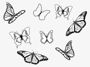 How To Set Use Eight Butterflies Svg Vector #227249