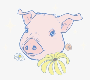 Pastel Pig - Domestic Pig #227251