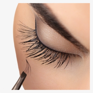 Everything You Need To Know About False Eyelashes #227500