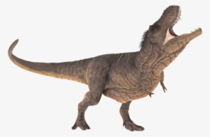 Dinosaur Images Free Group Vector Royalty Free Download - Stegosaurus Rex Dinosaur #227544