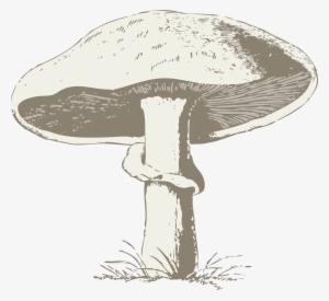 How To Set Use Mushroom Svg Vector #227665