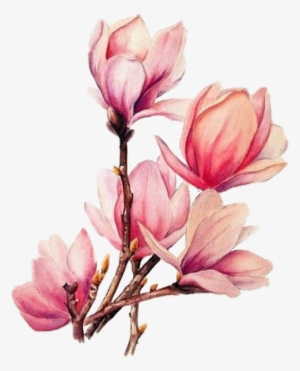 Boquet Bouquet Watercolor Watercolour Flowers Flower - Watercolour Flowers #227924