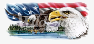 Eagles On Lake With Usa Flag - Lake #228059