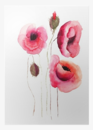Poppy Flowers, Watercolor Illustration Poster • Pixers® - Watercolor Painting #228423