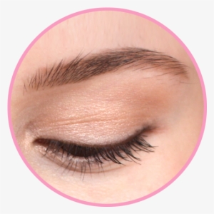 Beautiful Eyebrows By Mia - Mia Lash & Brow #229954